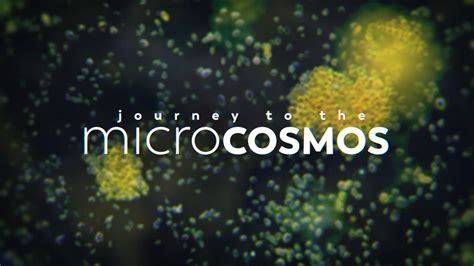 The Fascinating World of Microorganisms Near Me: An Unseen Magic